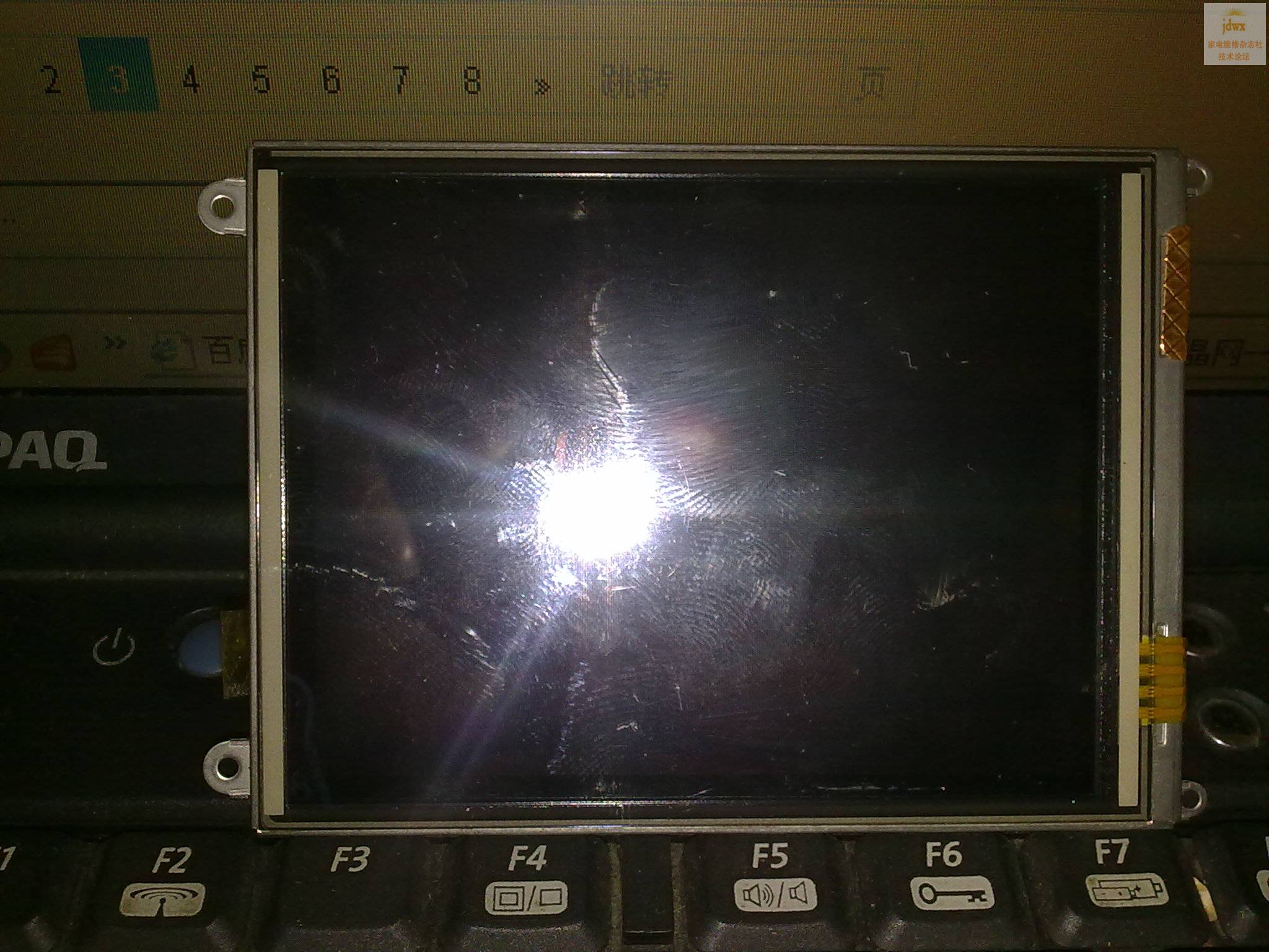 20091226081.jpg