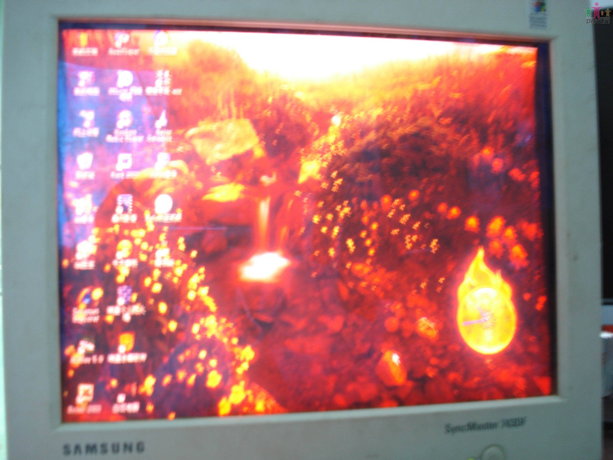DSC00339.jpg
