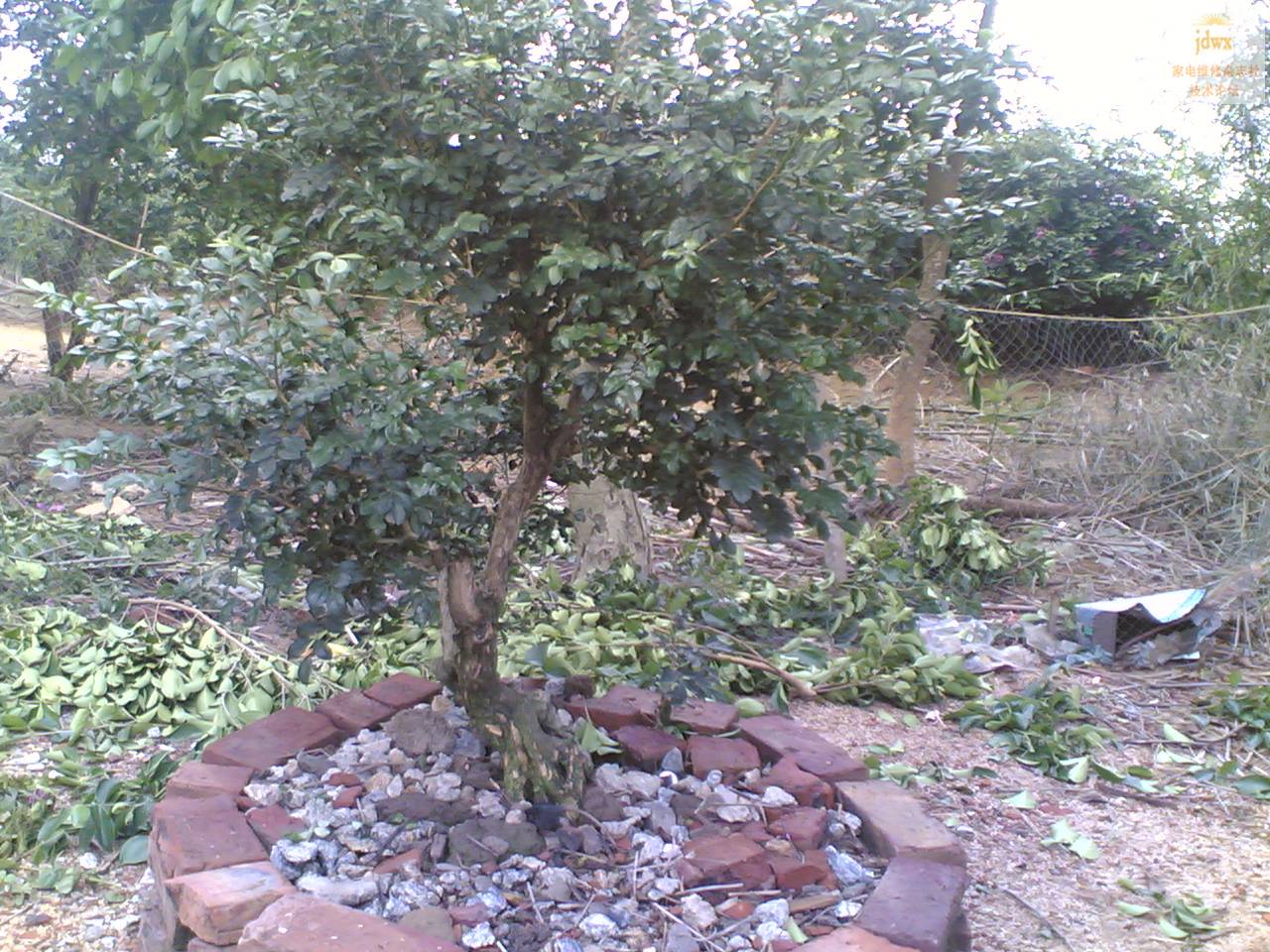 20090406.jpg