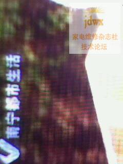 IMG0162A.jpg