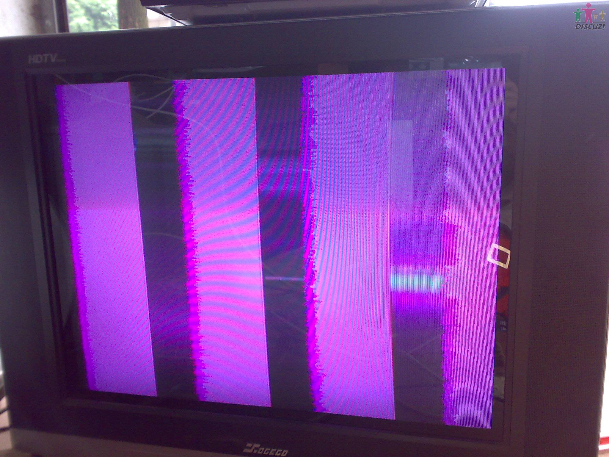 08082010377.jpg