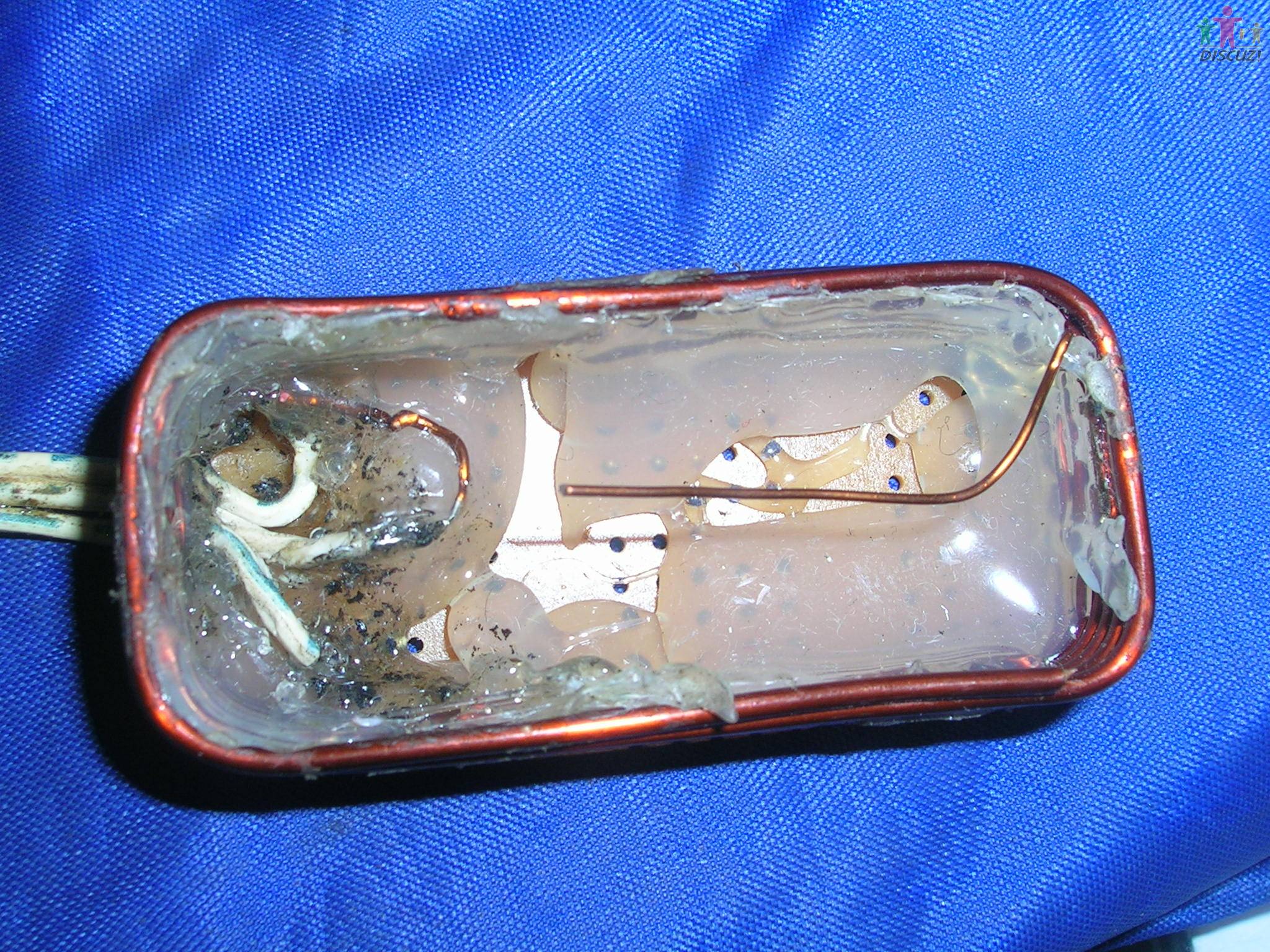 DSCN2469.JPG