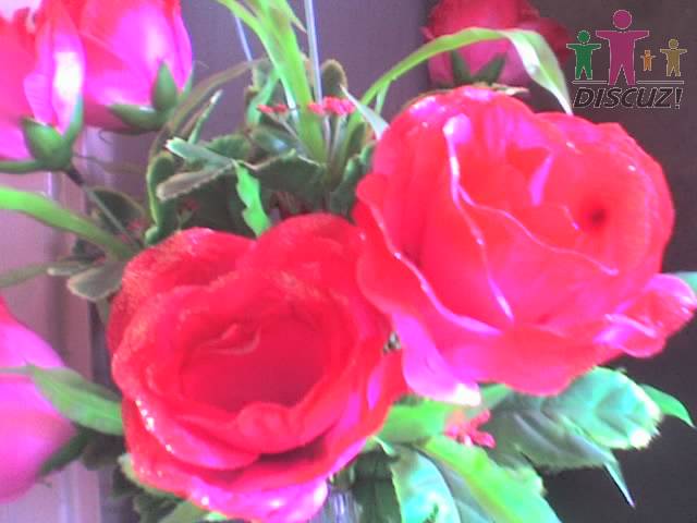 2783805_1175148.jpg