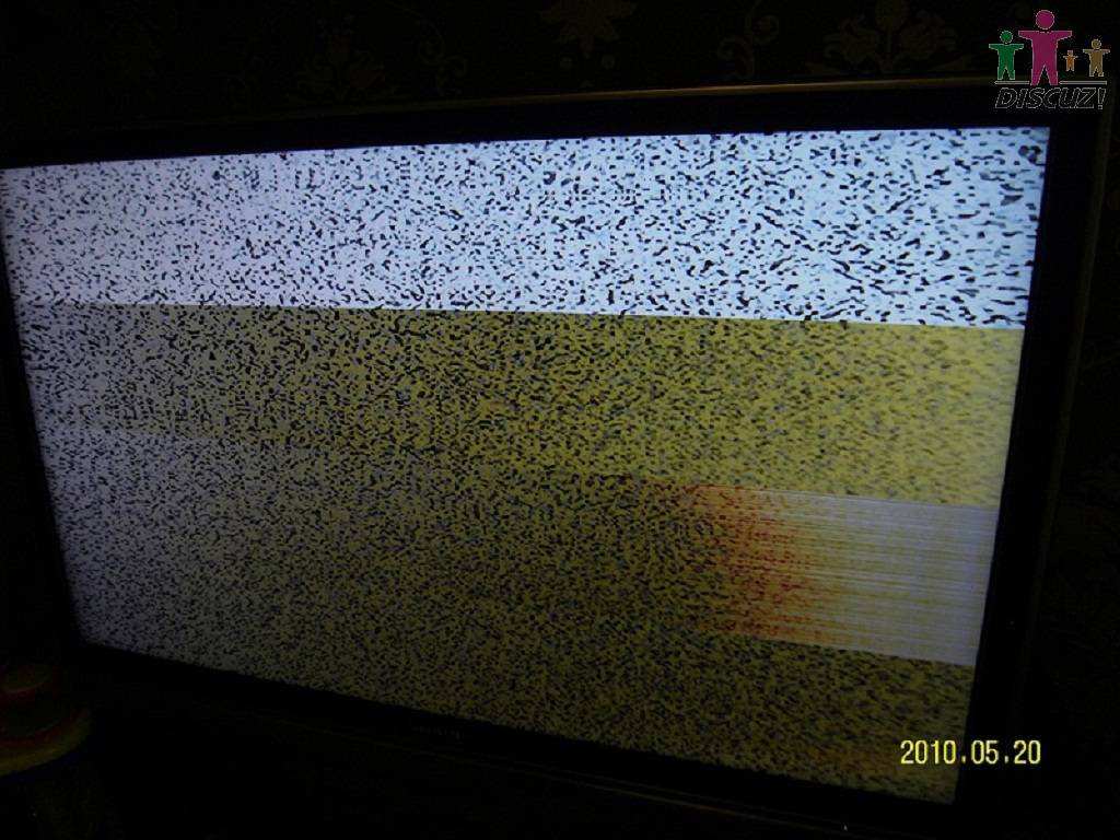 SDC13101.JPG