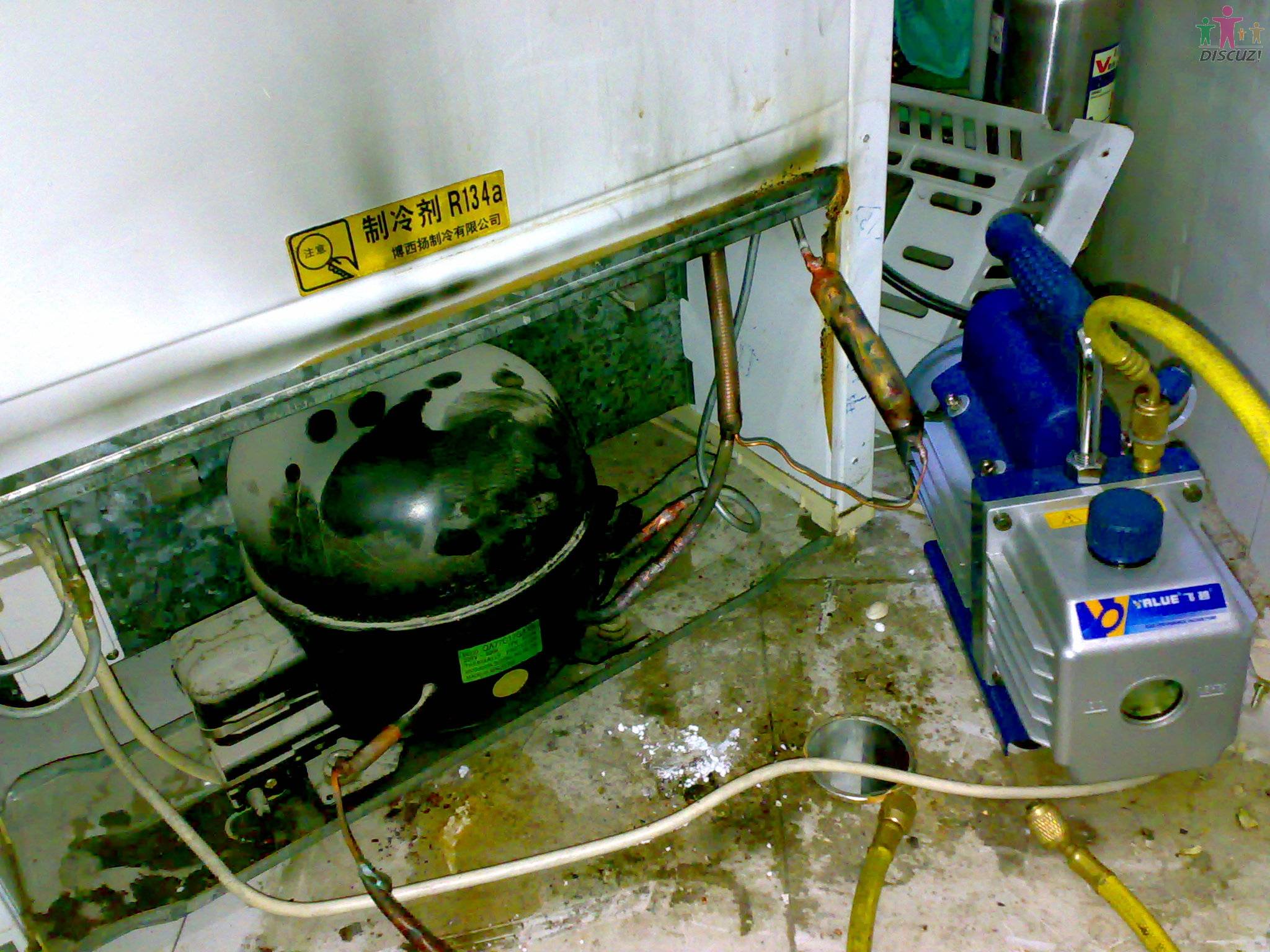 20100413075.jpg
