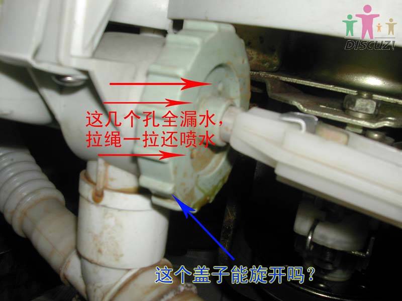 DSCN3452.jpg