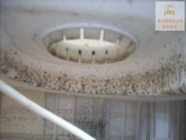 DSCN7506.JPG