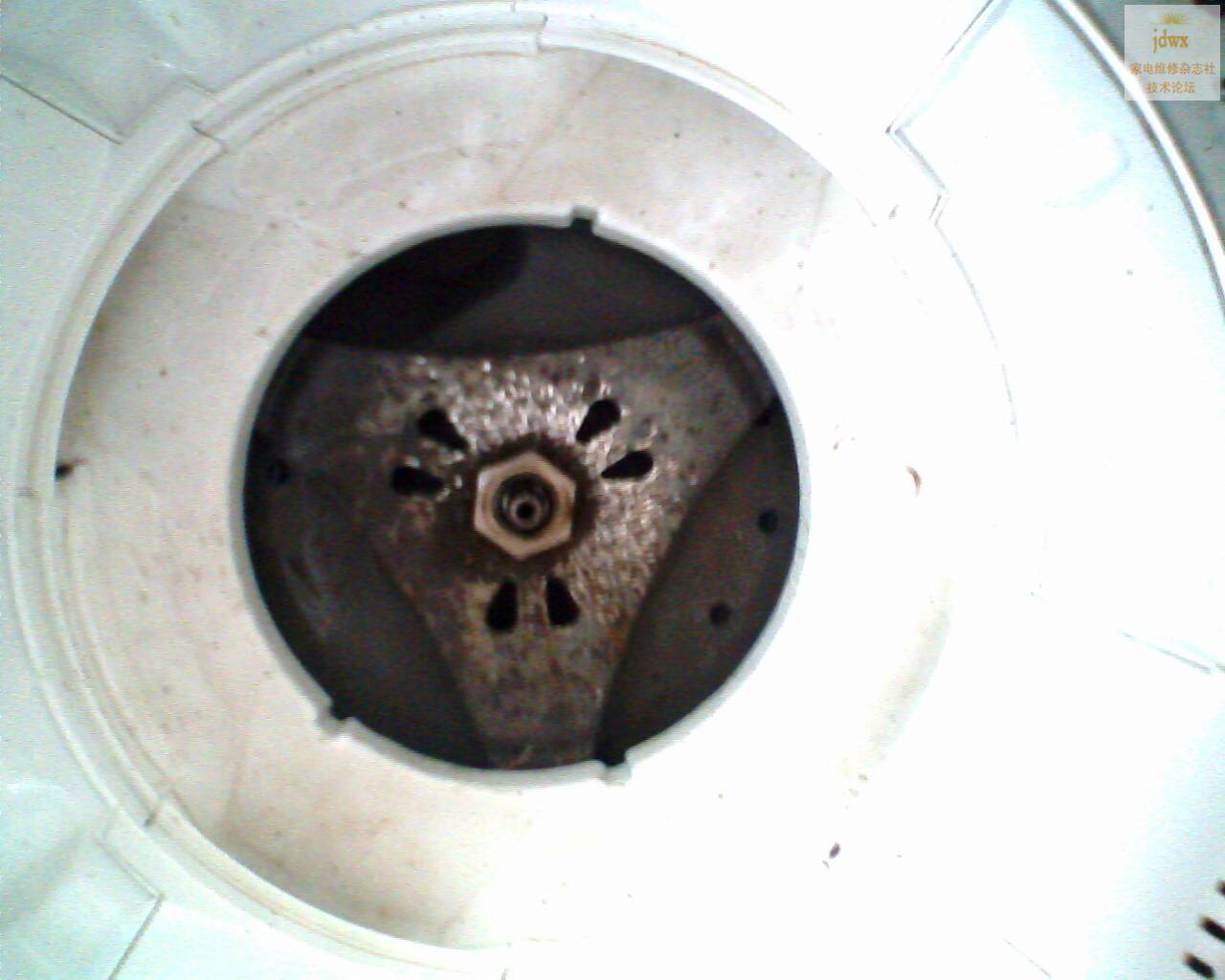 IMG1675A.jpg