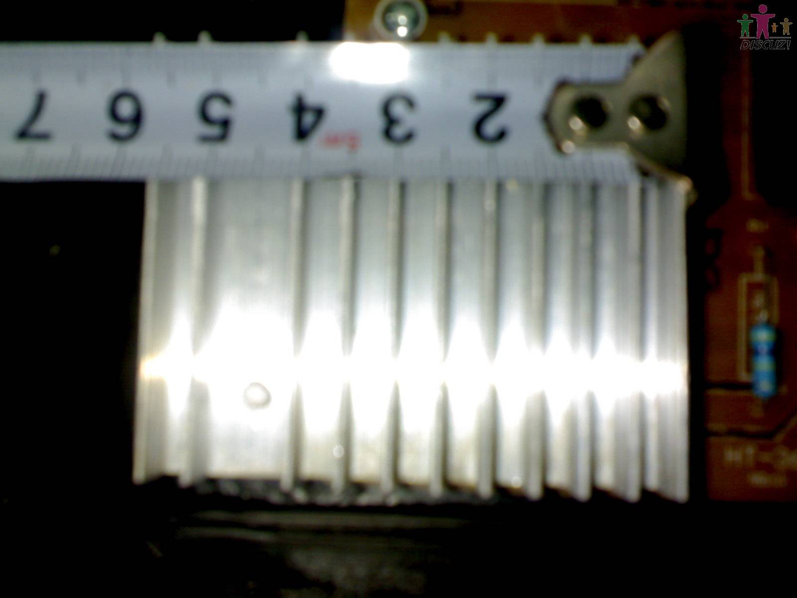 20090113199.jpg