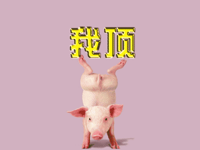 71229754d713f841d109061c.gif