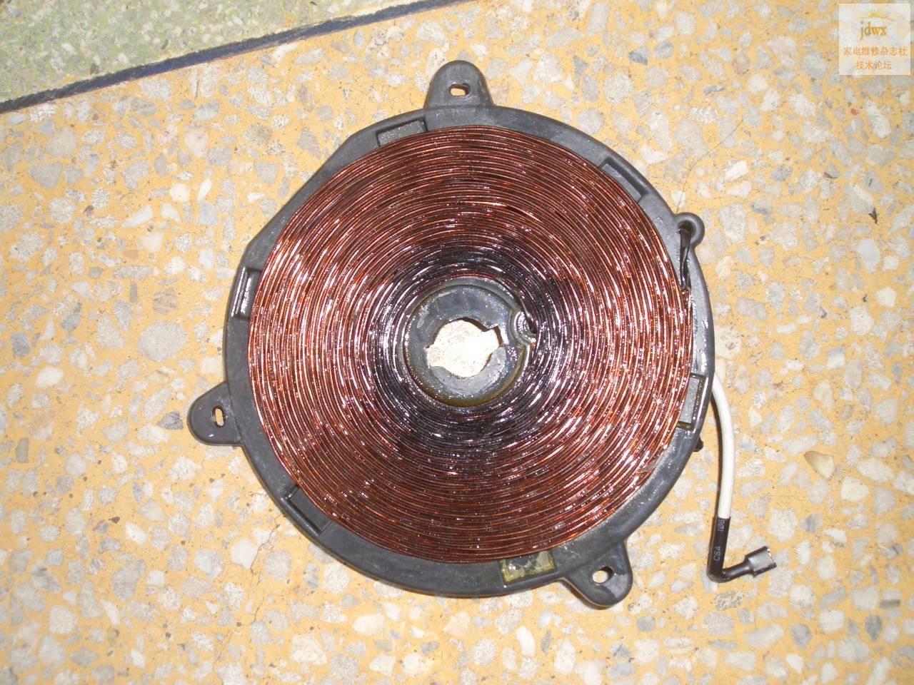 CIMG5598.JPG