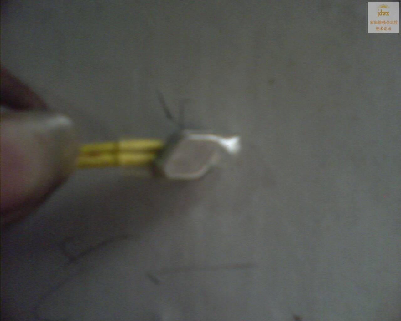 IMG0238A.jpg