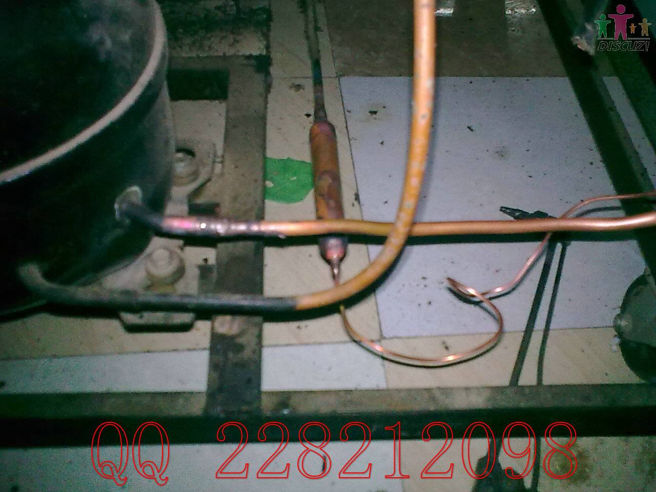 20100321_005.jpg