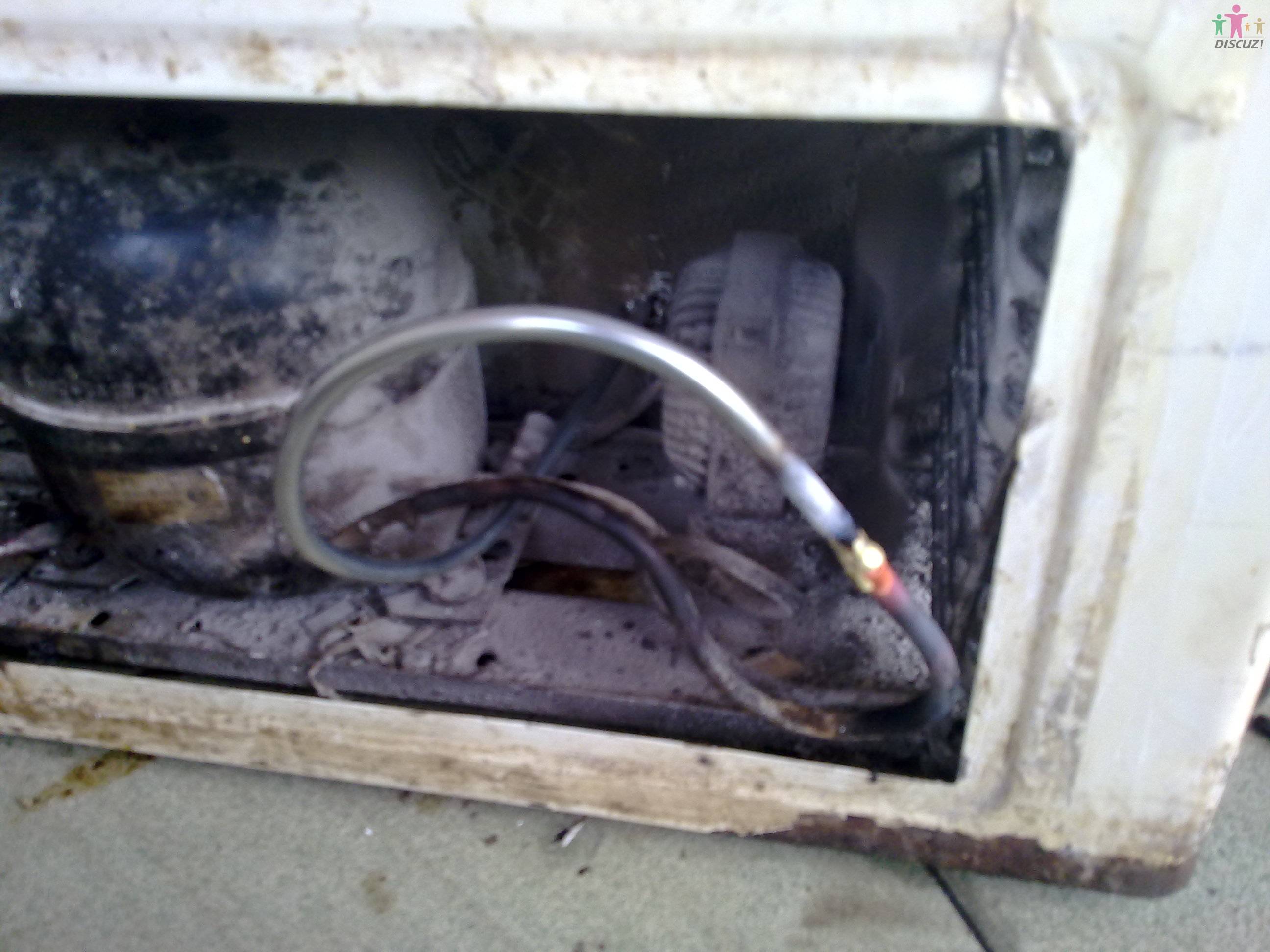 20100429330.jpg