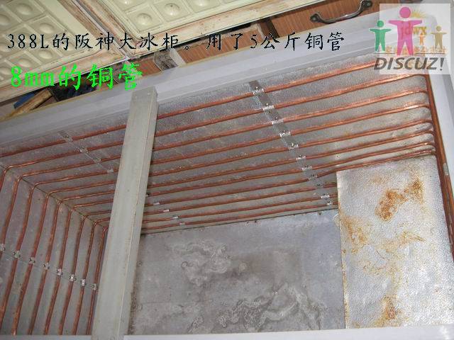 390L单冷冻.JPG