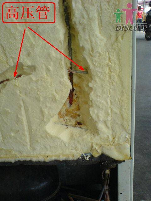 DSC01041.JPG