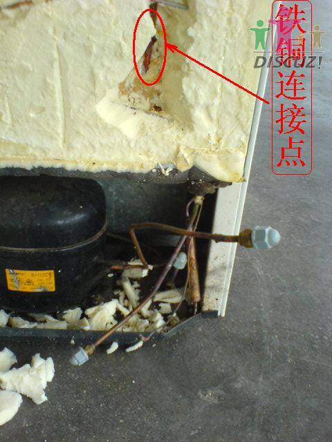 DSC01042.JPG