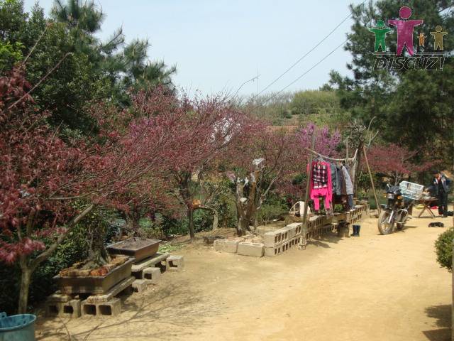DSC01510.JPG