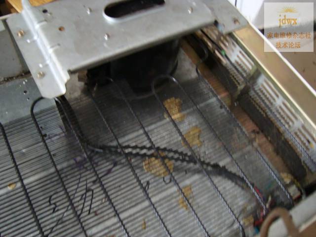 DSC02871.JPG