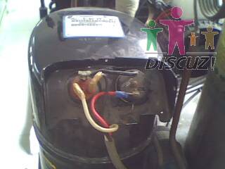 IMG0077A.jpg
