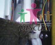 IMG0121A.jpg