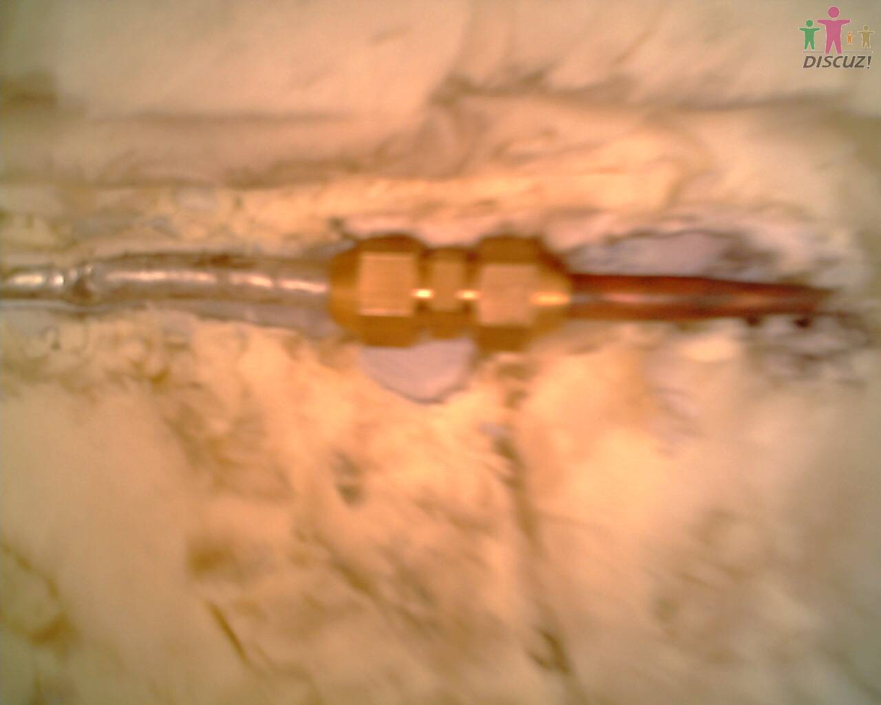 IMG0148A.jpg