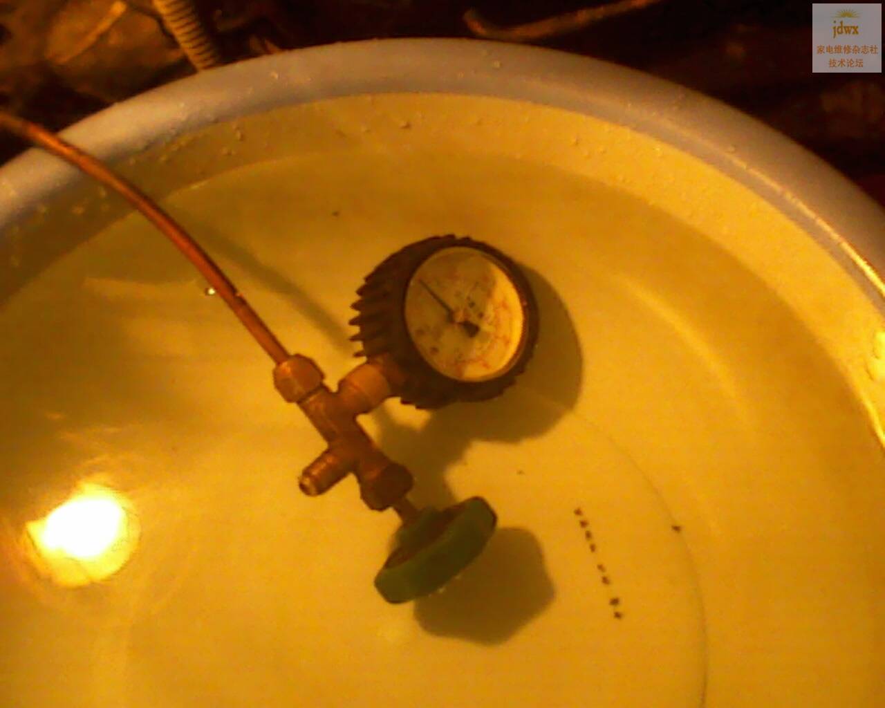 IMG0390A.jpg