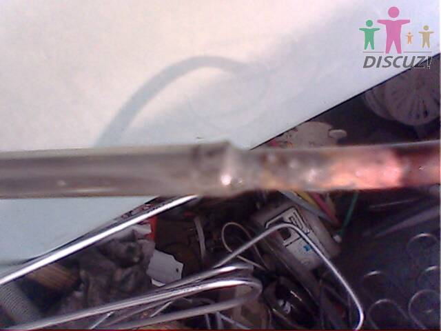 IMG0597A.jpg