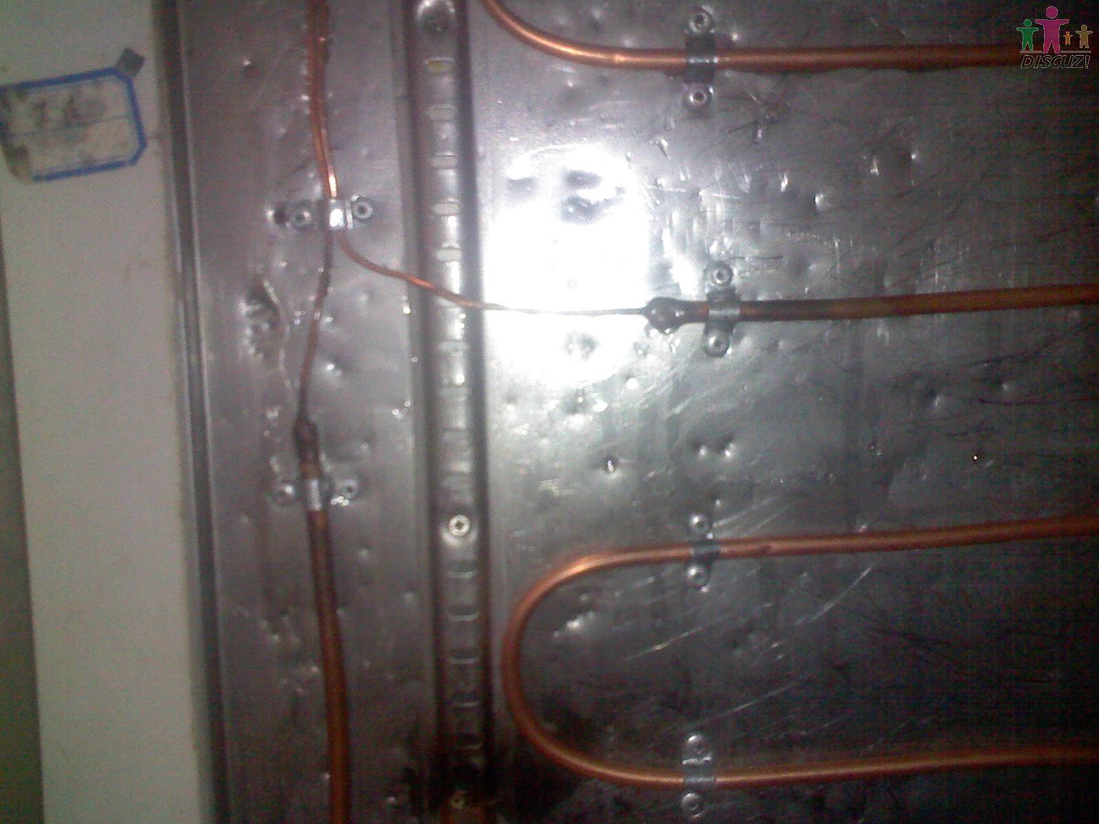 PIC00004.JPG