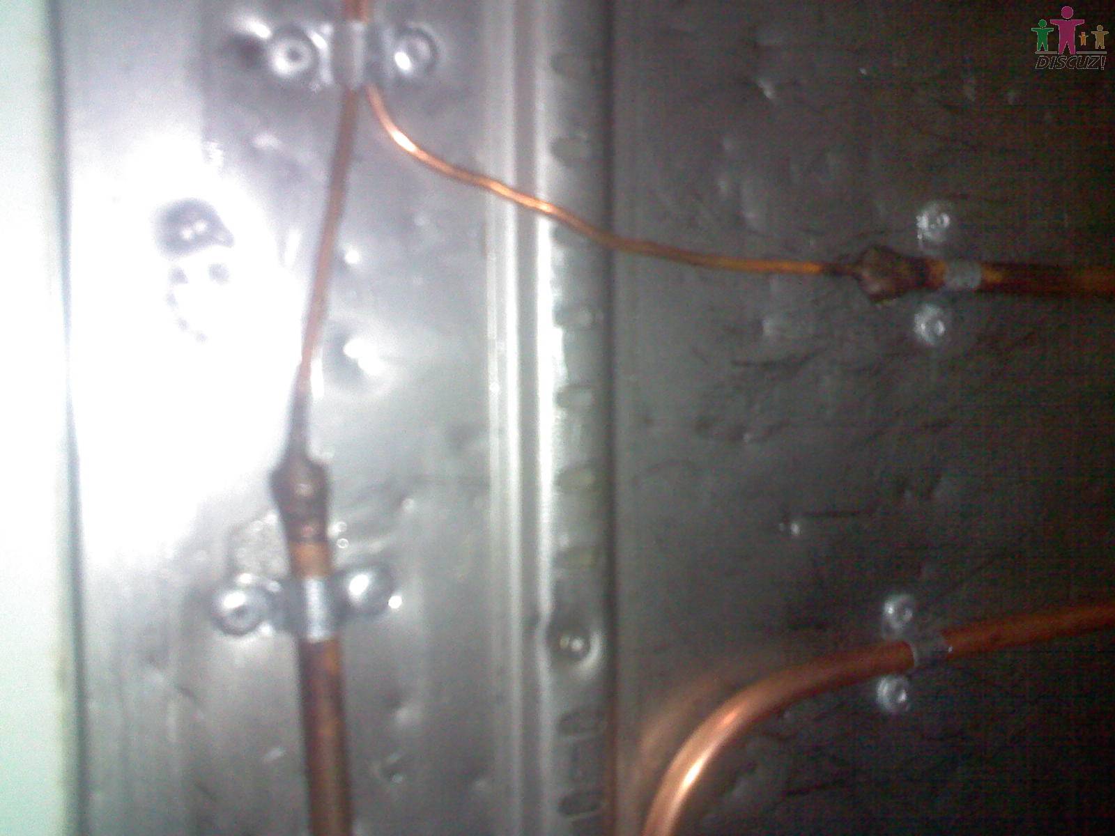 PIC00006.JPG