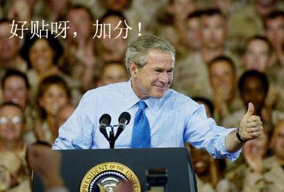 回贴.bmp
