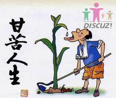 甘苦人生.jpg