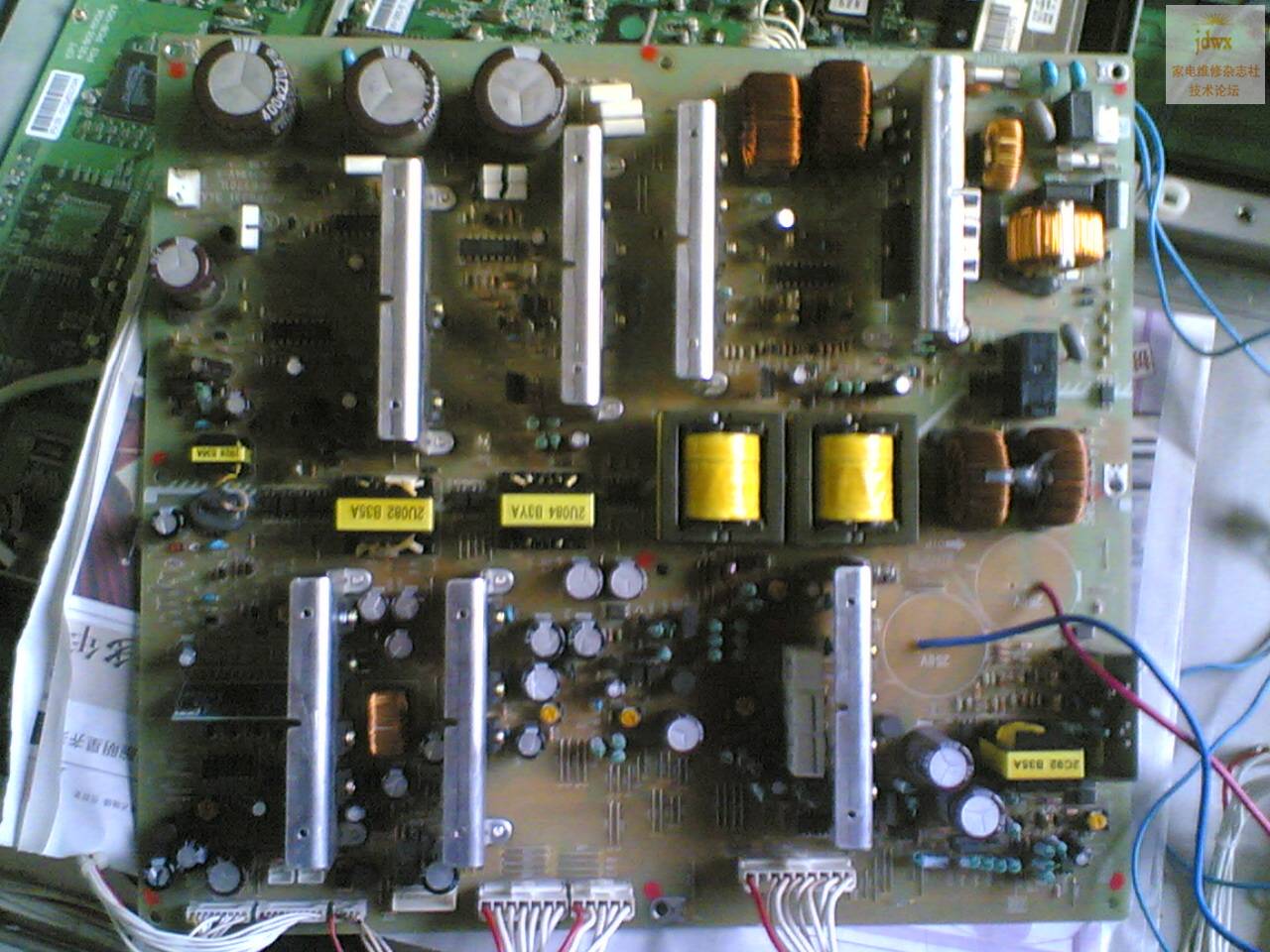 20090523(002).jpg