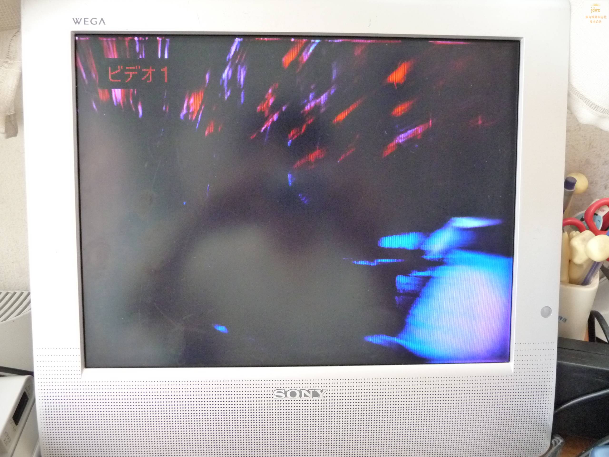 P1000551.JPG