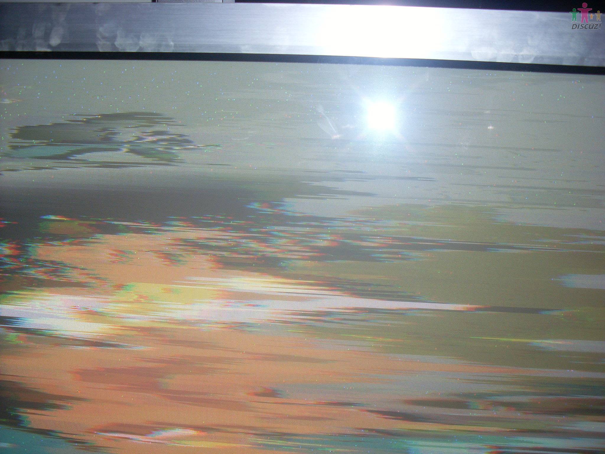 SL373233.JPG